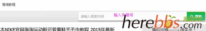 海菠萝网各国海淘教程大全