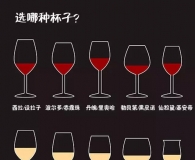 葡萄酒知识进阶——如何品尝葡萄酒