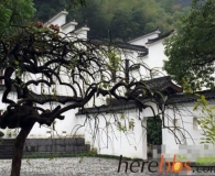 杨钰莹晒旅行照