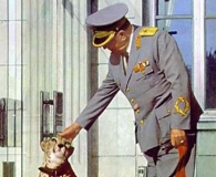 黑山共和国归来