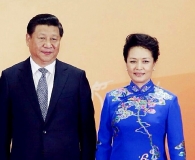 彭丽媛穿过的华丽旗袍
