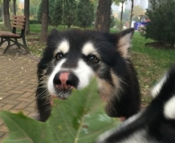 美好的生活