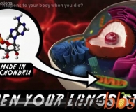 美化学学会发视频揭秘人体死后化学变化