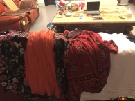感谢海豌豆在我出门前全部到货