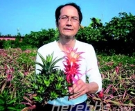 五彩菠萝这东西能吃吗