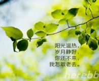 好美的意境
