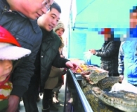 北京春节期间的龙潭庙会上现烤鳄鱼肉