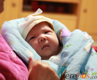大树爸家小宝半岁了，希望他能健康快乐的过好每一天